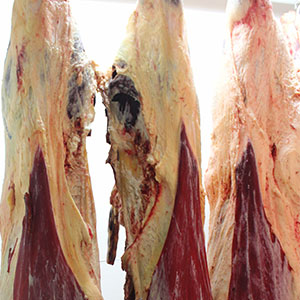 Hanging sides of beef