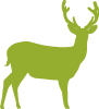 Silhouette of a deer